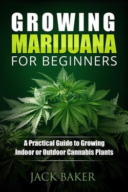 Growing Marijuana for Beginners: A Practical Guide to Growing Indoor or Outdoor Cannabis Plants