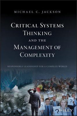 Systems Thinking for Managers, 2nd Edition