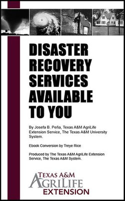 Disaster Recovery Services Available to You