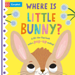 Where Is Little Bunny?