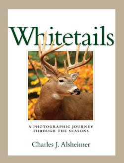 Whitetails