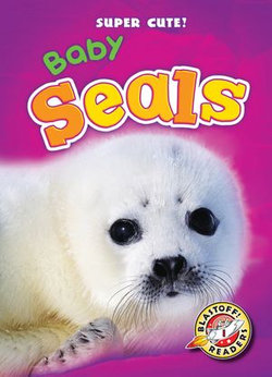 Baby Seals