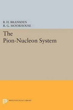 The Pion-Nucleon System