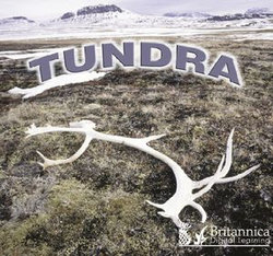 Tundra