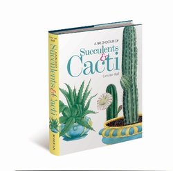 A Splendour of Succulents and Cacti