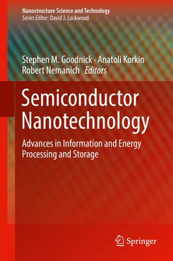 Semiconductor Nanotechnology