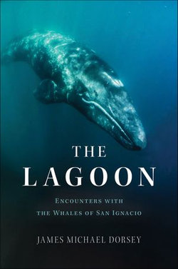 The Lagoon