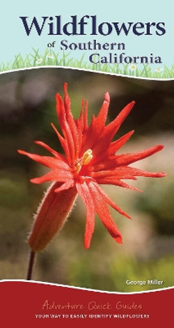 Wildflowers of Southern California