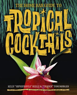 The Home Bar Guide To Tropical Cocktails 