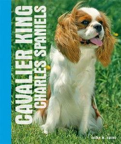 Your Cavalier King Charles Spaniel