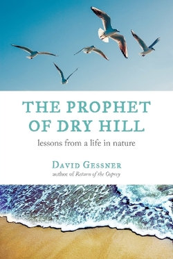 The Prophet of Dry Hill