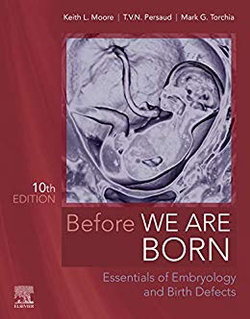 Before We Are Born