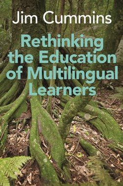 Rethinking the Education of Multilingual Learners