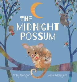 The Midnight Possum