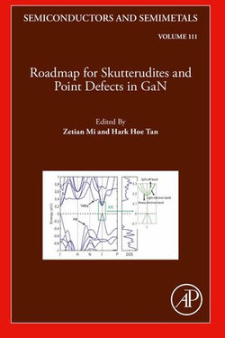 Roadmap for Skutterudites and Point Defects in GaN