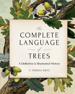 The Complete Language of Trees