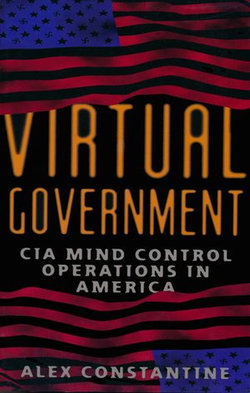 Virtual Government