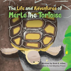 The Life and Adventures of Merle the Tortoise