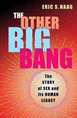 The Other Big Bang