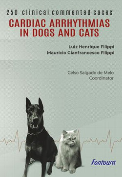 Cardiac arrhythmias in cats and dogs