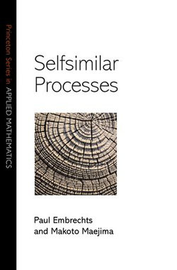 Selfsimilar Processes