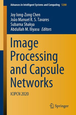 Image Processing and Capsule Networks