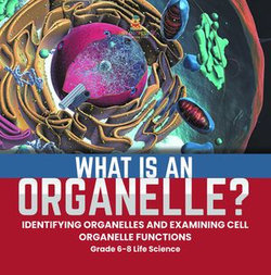 What is an Organelle? Identifying Organelles and Examining Cell Organelle Functions | Grade 6-8 Life Science