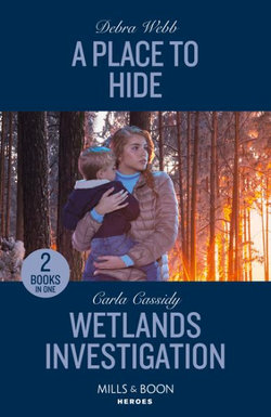 A Place to Hide / Wetlands Investigation