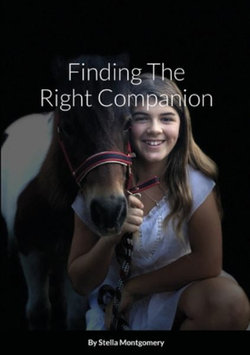 Finding the Right Companion