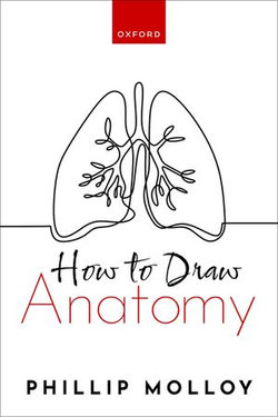 How To Draw Anatomy