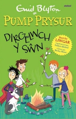 Pump Prysur: Dirgelwch y S&amp;#373;n