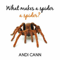 What Makes a Spider a Spider