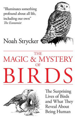 The Magic & Mystery of Birds