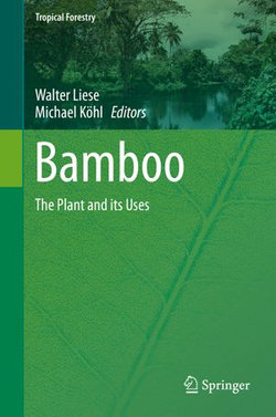 Bamboo