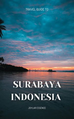 Travel Guide To Surabaya, Indonesia: With Insider Tips for the Adventure of a Lifetime