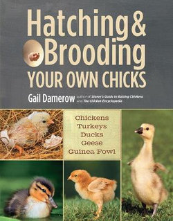 Hatching & Brooding Your Own Chicks