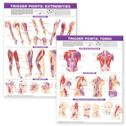 Trigger Point Chart Set