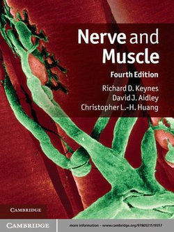 Nerve and Muscle