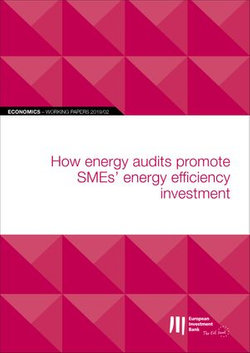 EIB Working Papers 2019/02 - How energy audits promote SMEs' energy efficiency investment