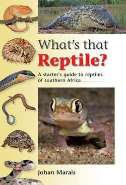 What's that Reptile?