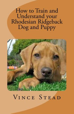 How to Train and Understand your Rhodesian Ridgeback Dog and Puppy