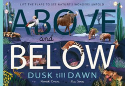 Above and below: Dusk till Dawn