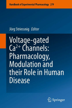 Voltage-gated Ca2+ Channels: Pharmacology, Modulation and their Role in Human Disease