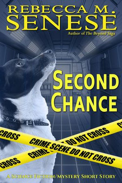 Second Chance