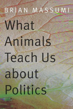 What Animals Teach Us about Politics