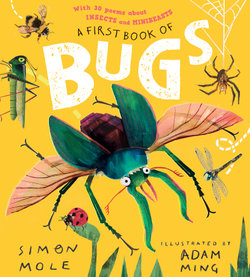 A First Book of Bugs: with 30 poems about insects and minibeasts