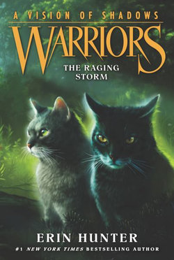 Warriors: A Vision of Shadows : The Raging Storm