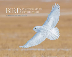 Bird Photographer of the Year - Bird Photographer of the Year