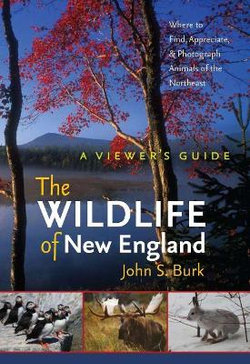 The Wildlife of New England