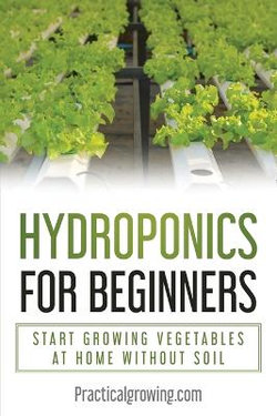 Hydroponics for Beginners